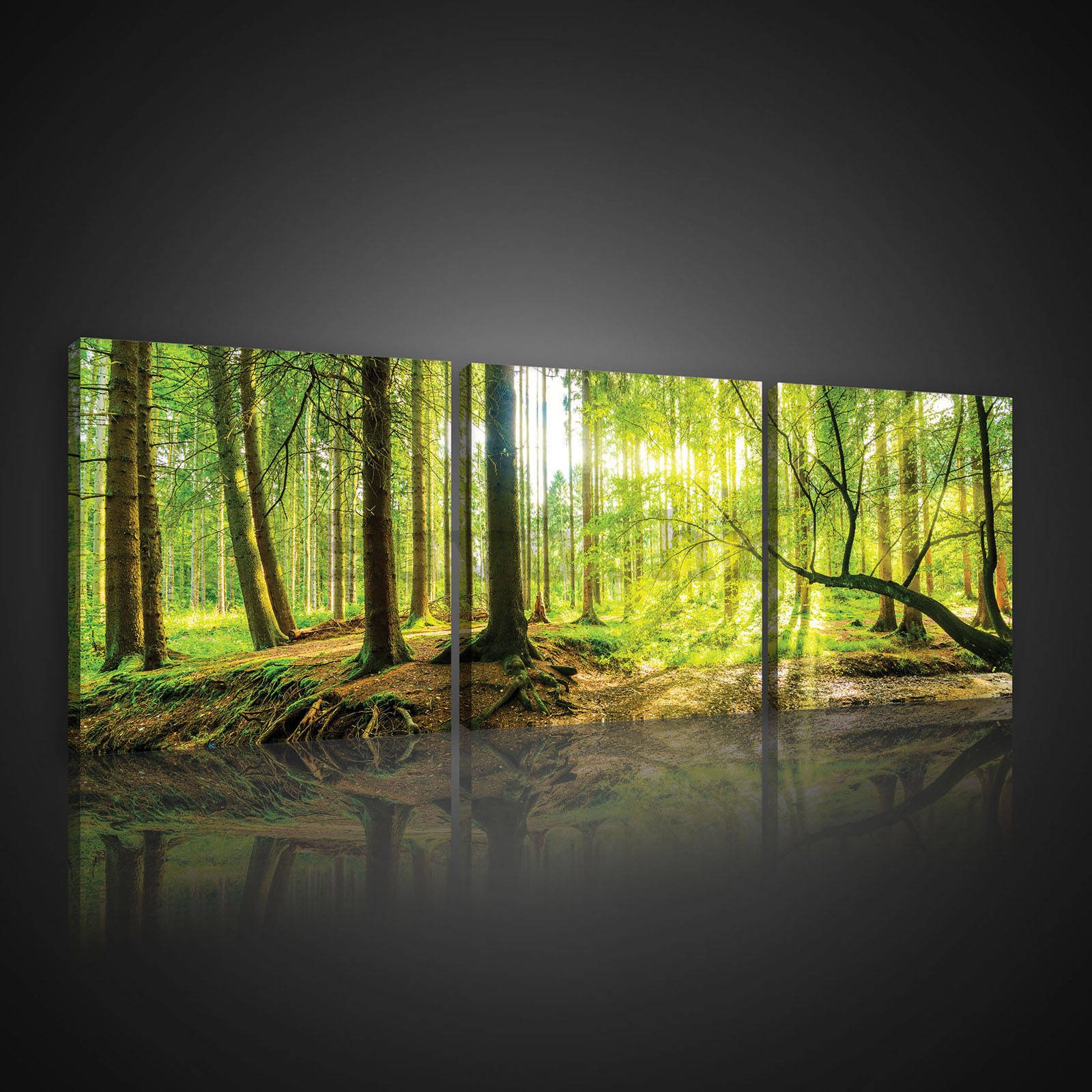 Slika na platnu: Poplavna šuma - set 3kom 25x25cm