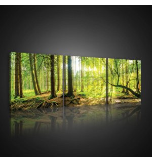 Slika na platnu: Poplavna šuma - set 3kom 25x25cm