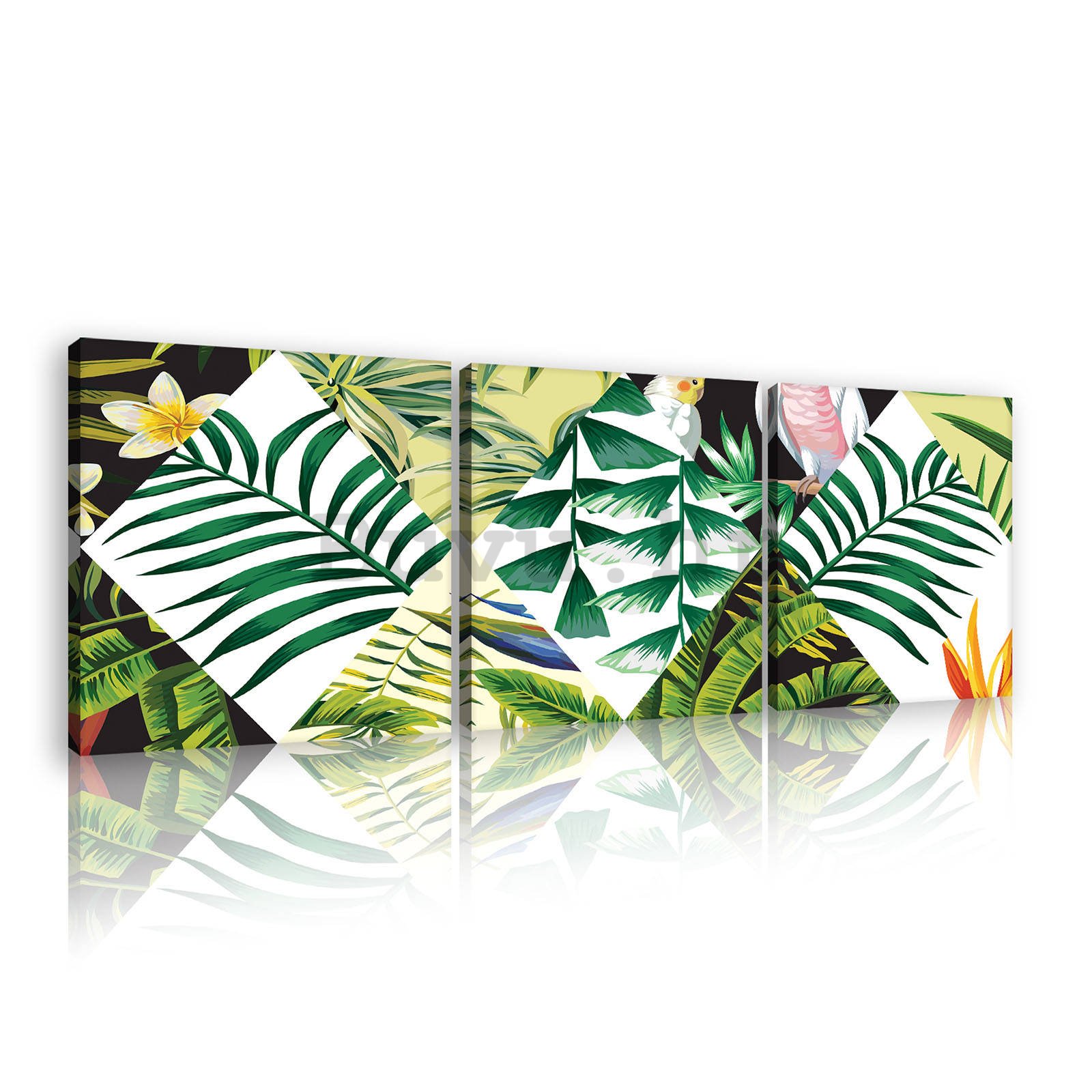 Slika na platnu: Oslikana tropska flora (2) - set 3kom 25x25cm