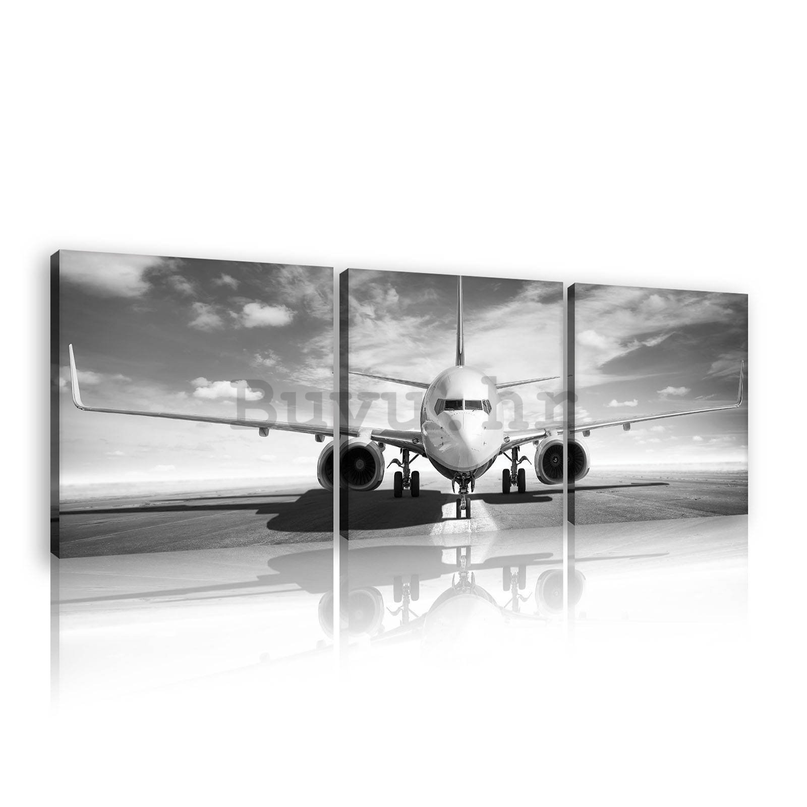 Slika na platnu: Mlazni zrakoplov (crno-bijeli) - set 3kom 25x25cm