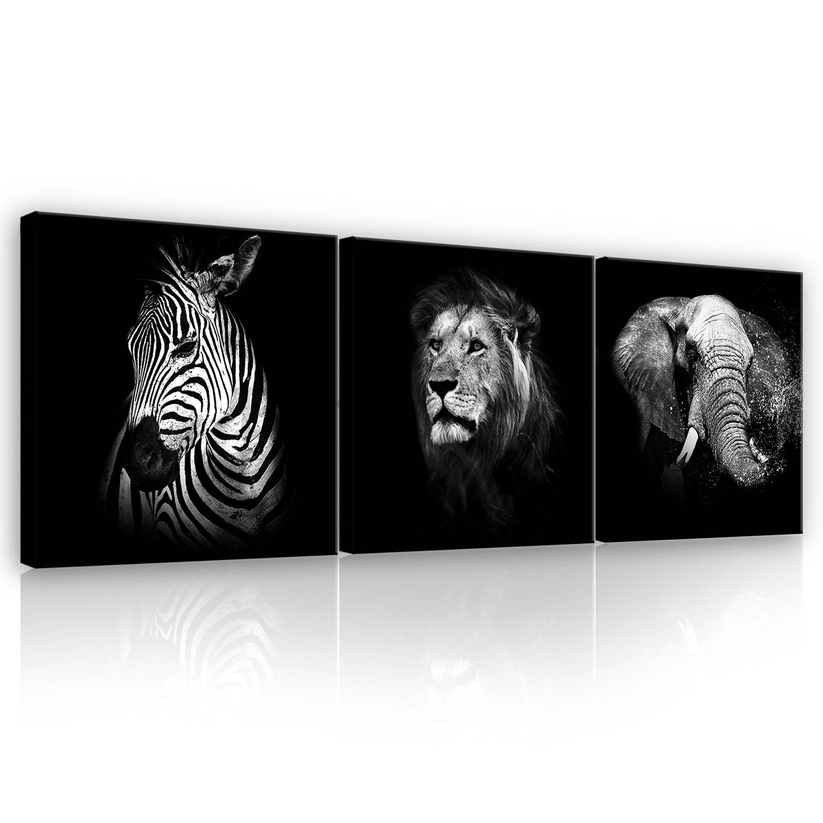 Slika na platnu: Crno-bijele životinje (1) - set 3kom 25x25cm