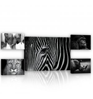 Slika na platnu: Crno-bijele životinje (2) - set 1kom 70x50 cm i 4kom 32,4x22,8 cm