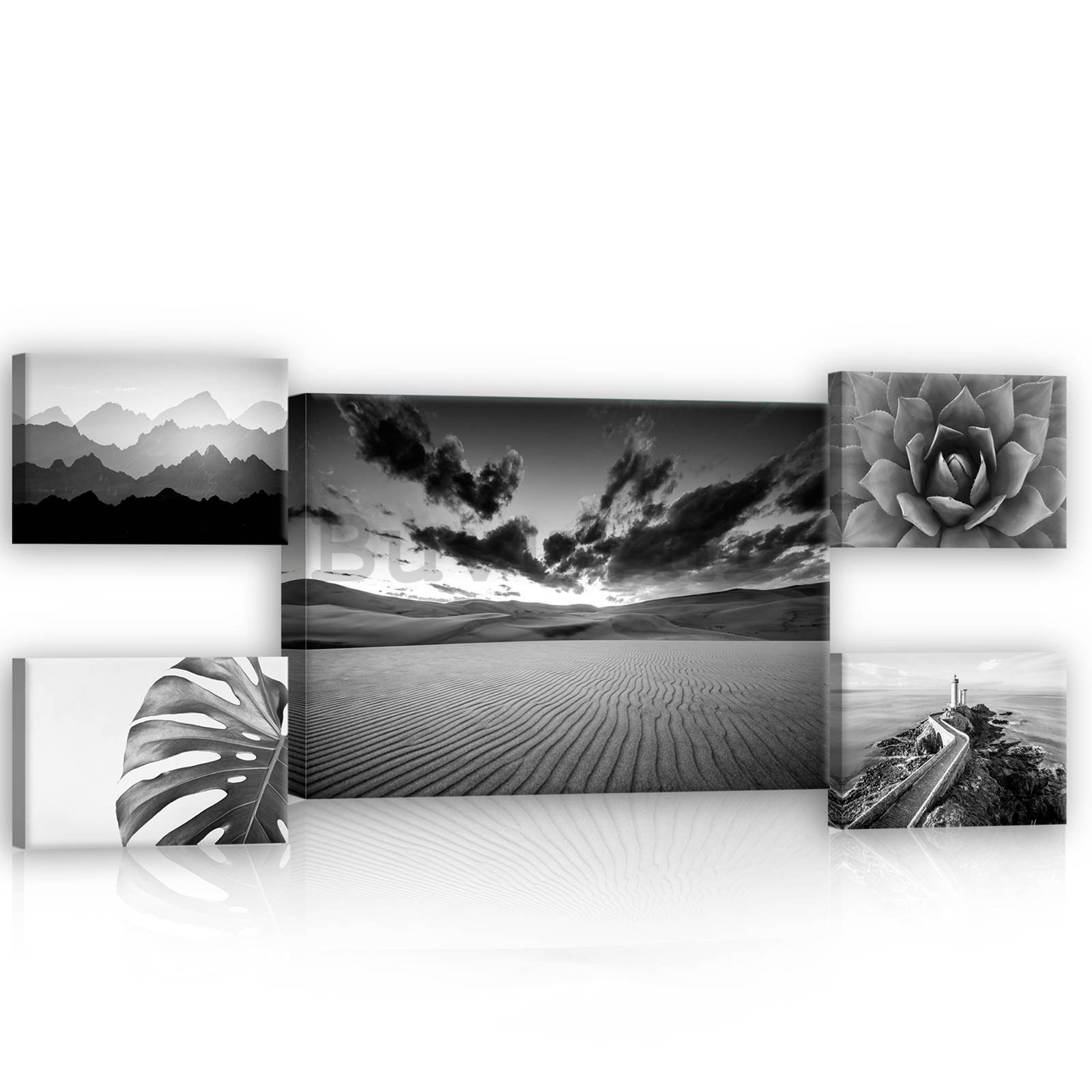Slika na platnu: Crno-bijeli pogledi (1) - set 1kom 70x50 cm i 4kom 32,4x22,8 cm