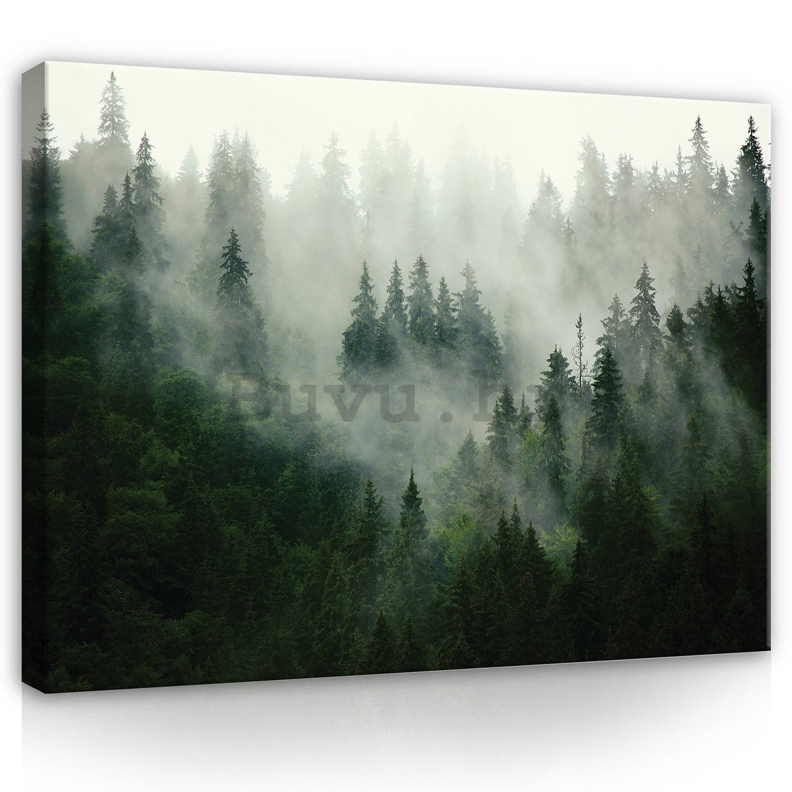 Slika na platnu: Magla iznad šume (1) - 100x75 cm