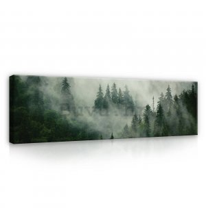 Slika na platnu: Magla iznad šume (1) - 145x45 cm