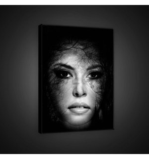 Slika na platnu: Tajanstvena žena (1) - 60x80 cm