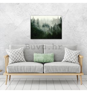 Slika na platnu: Magla iznad šume (1) - 80x60 cm