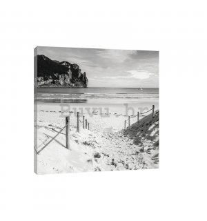 Slika na platnu: Pješčana plaža (crno-bijela) - 80x60 cm