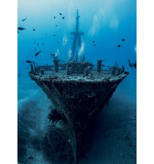 Foto tapeta: Podmorska olupina - 184x254 cm