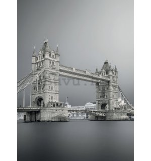 Foto tapeta: Tower Bridge (sive) - 184x254 cm