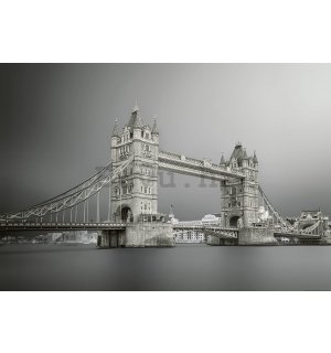 Vlies foto tapeta: Tower Bridge (sive) - 254x368 cm