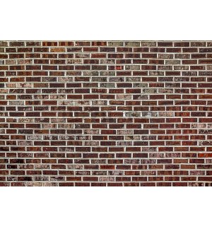 Vlies foto tapeta: Cigleni zid (6) - 254x368 cm