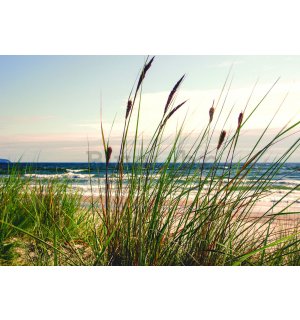 Vlies foto tapeta: Trava na obali (1) - 104x70,5 cm