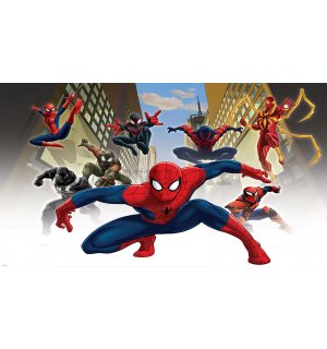 Vlies foto tapeta: Spiderman (1) - 208x146 cm