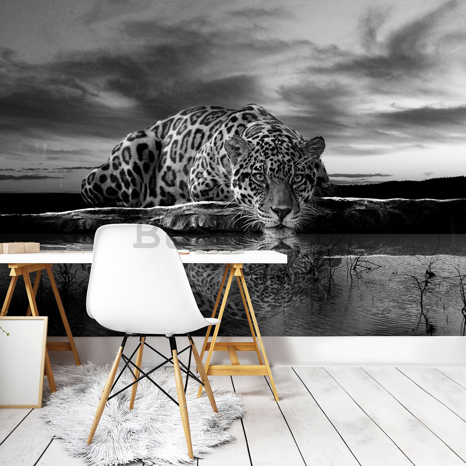 Vlies foto tapeta: Jaguar (crno-bijeli) - 208x146 cm