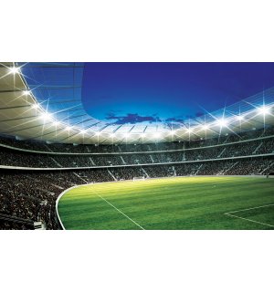 Vlies foto tapeta: Nogometni Stadion (1) - 208x146 cm