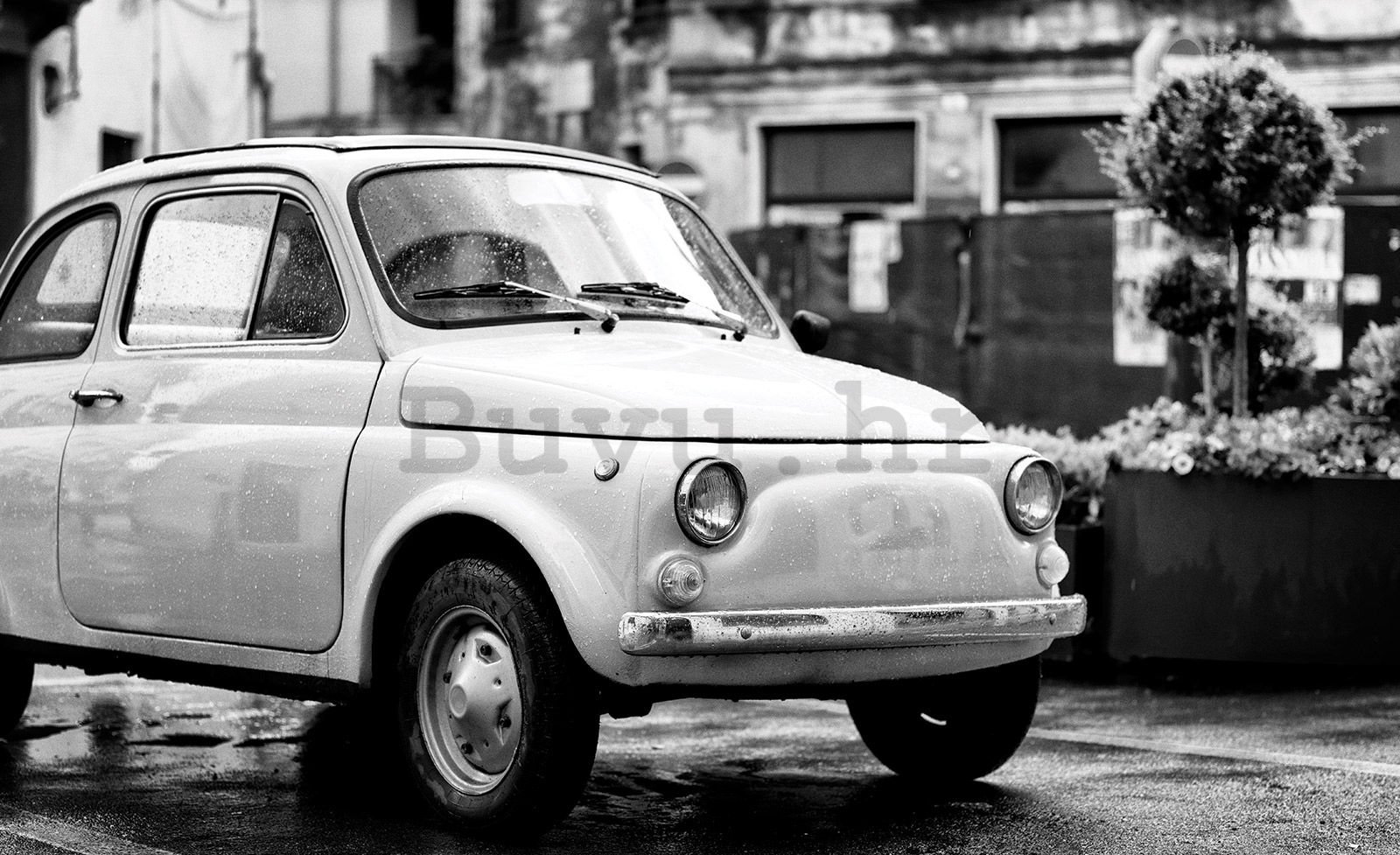 Vlies foto tapeta: Fiat 500 - 416x254 cm