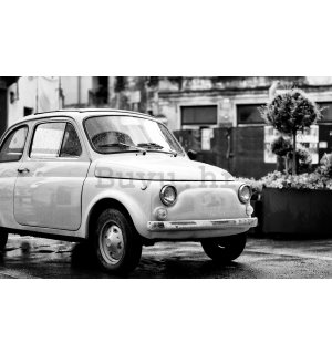 Vlies foto tapeta: Fiat 500 - 416x254 cm