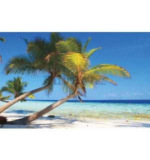 Vlies foto tapeta: Plaža sa palmom - 104x70,5 cm