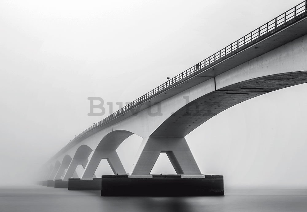 Foto tapeta: Most (sive nijanse) - 368x254 cm