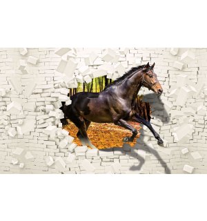 Vlies foto tapeta: Konj sa zida  - 104x70,5cm