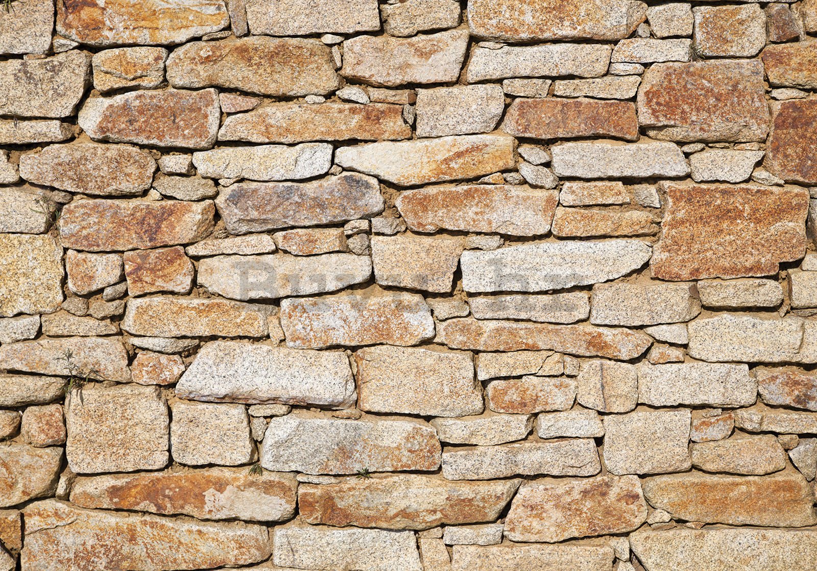 Vlies foto tapeta: Kameni zid (narančasta) - 350x245 cm