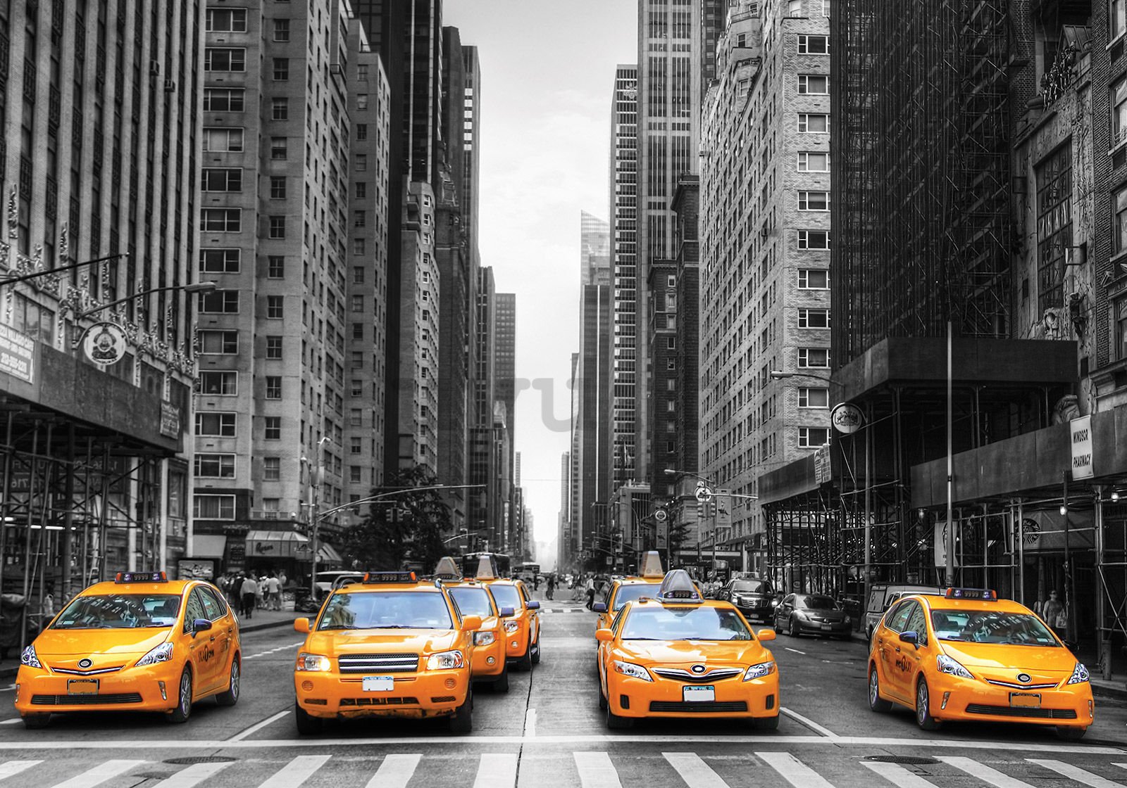 Vlies foto tapeta: NYC Taxi - 350x245 cm