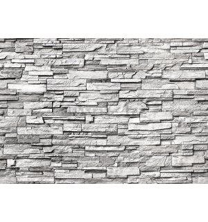Vlies foto tapeta: Kameni zid (sivi) - 400x280 cm