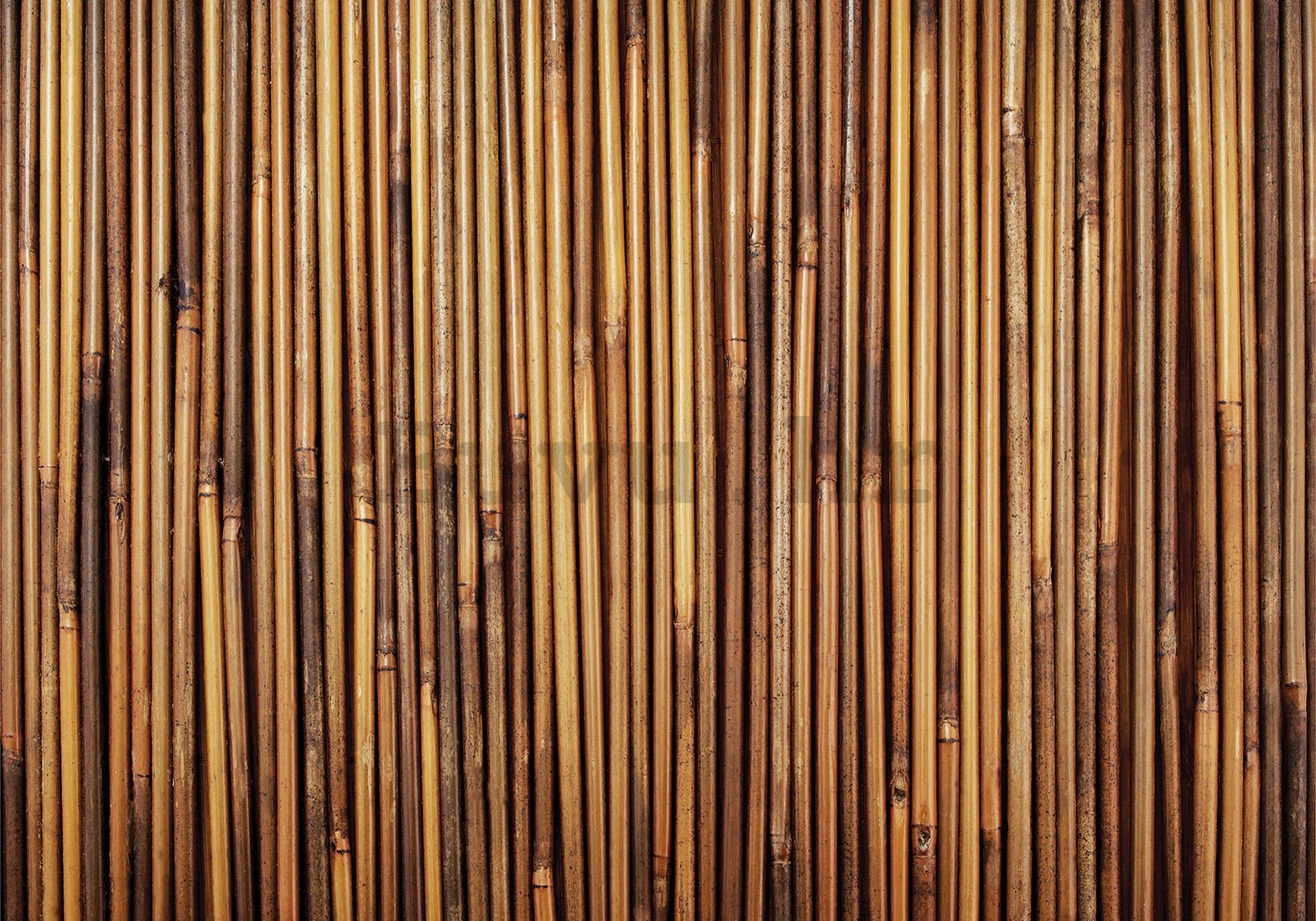 Vlies foto tapeta: Obloga od bambusa - 400x280 cm