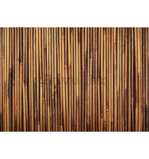 Vlies foto tapeta: Obloga od bambusa - 400x280 cm