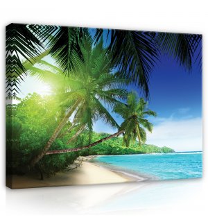 Slika na platnu: Raj na plaži - 80x60 cm