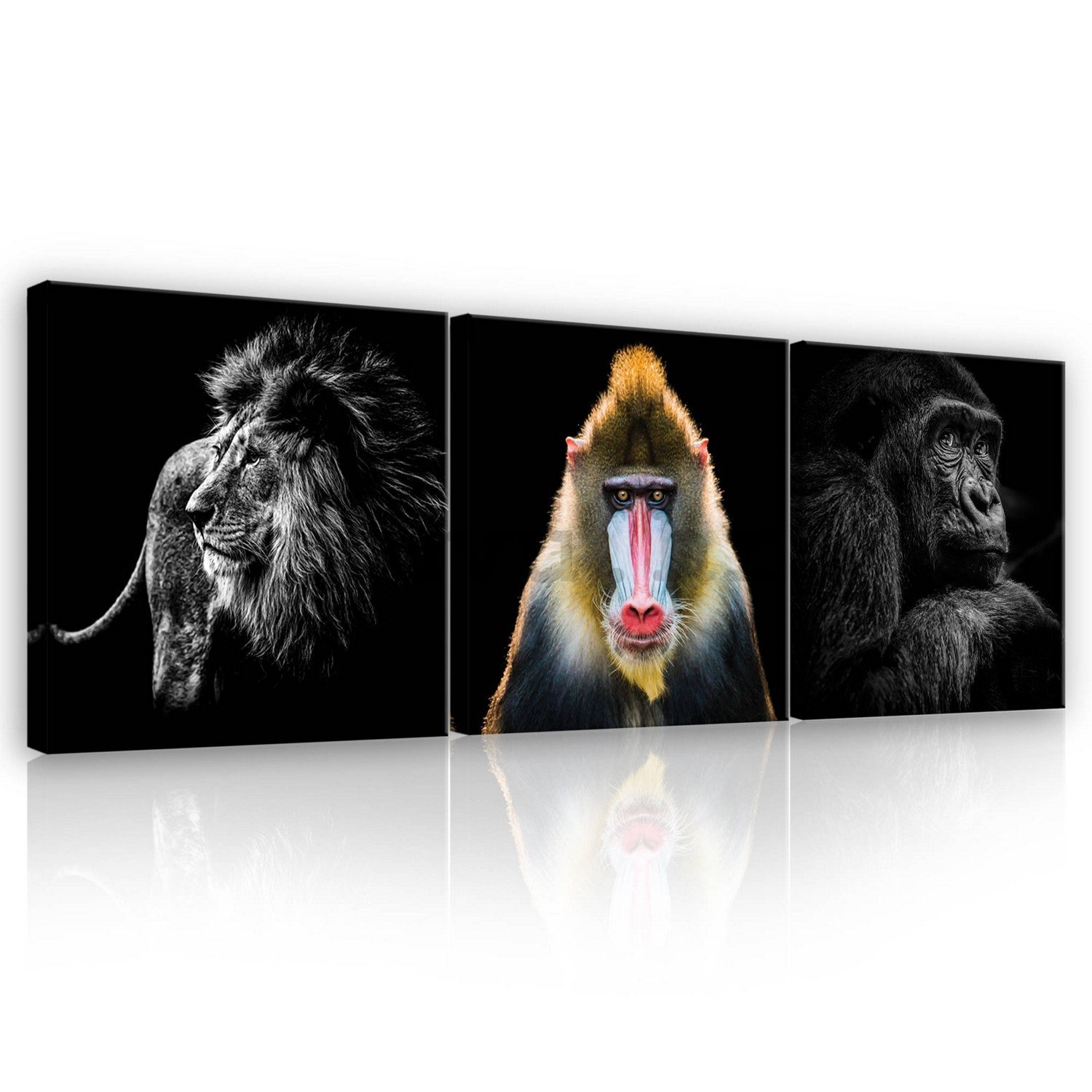 Slika na platnu: Lav, Mandrill i Gorila - set 3kom 25x25cm