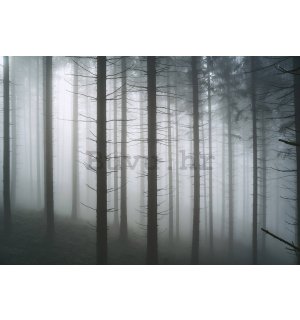 Vlies foto tapeta: Ukleta šuma (1) - 254x184 cm