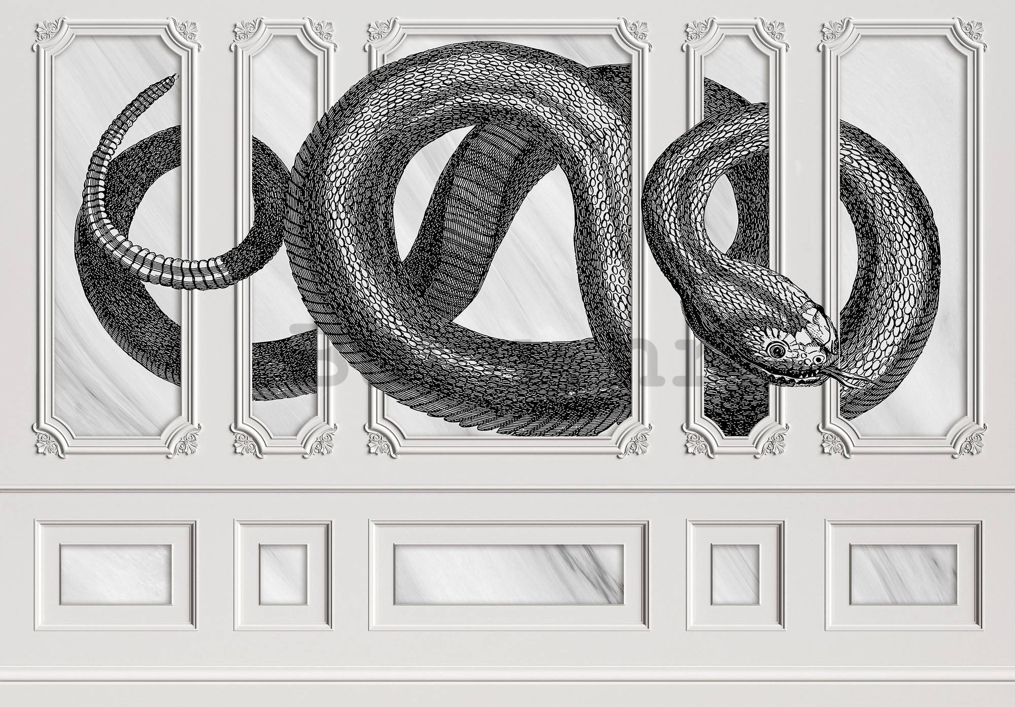 Vlies foto tapeta: Dekoracija zmije - 254x184 cm