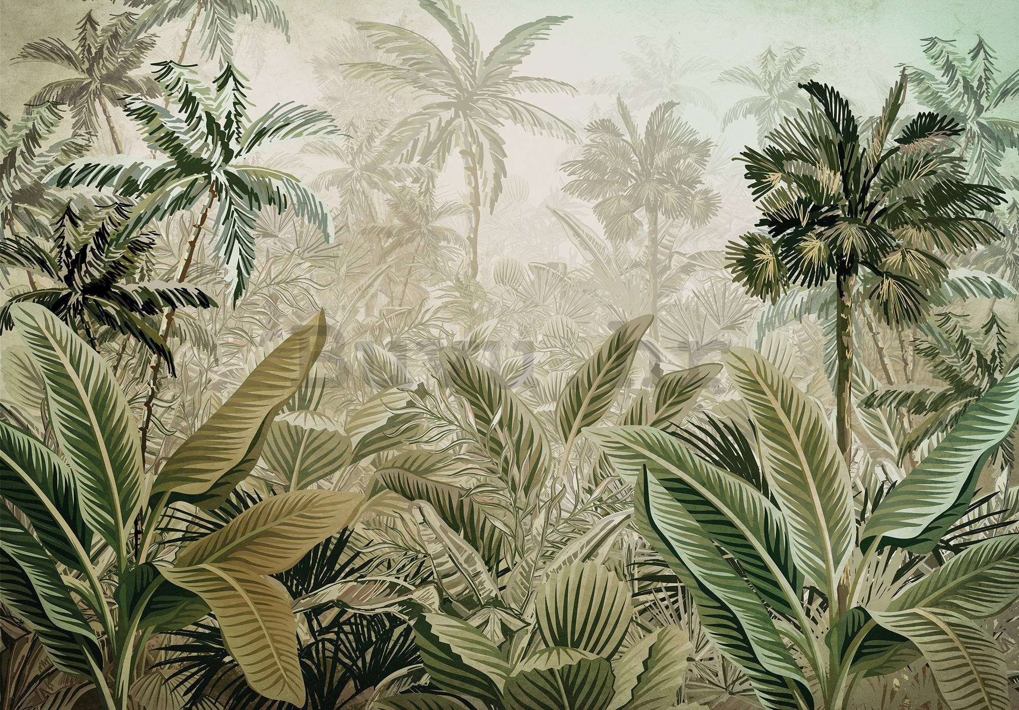 Vlies foto tapeta: Tropska vegetacija - 254x184 cm