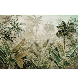 Vlies foto tapeta: Tropska vegetacija - 254x184 cm