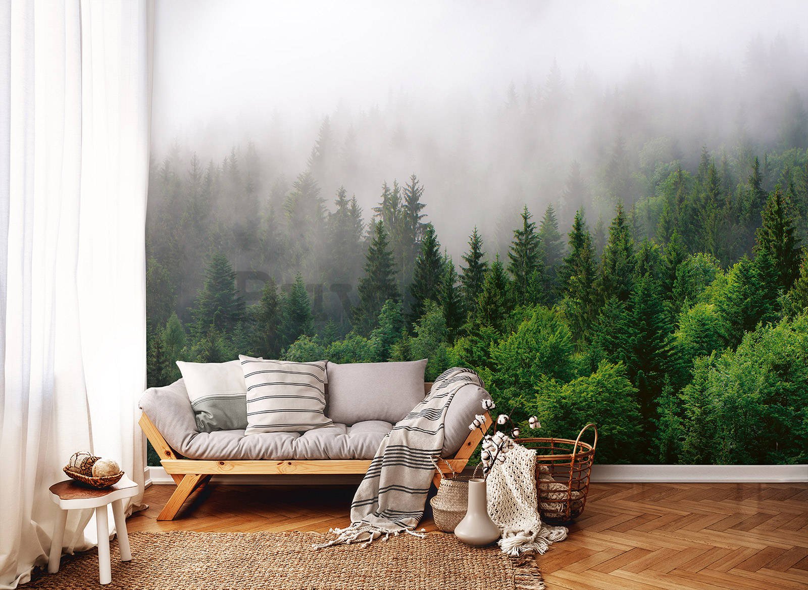 Vlies foto tapeta: Magla nad šumom (2) - 368x254 cm