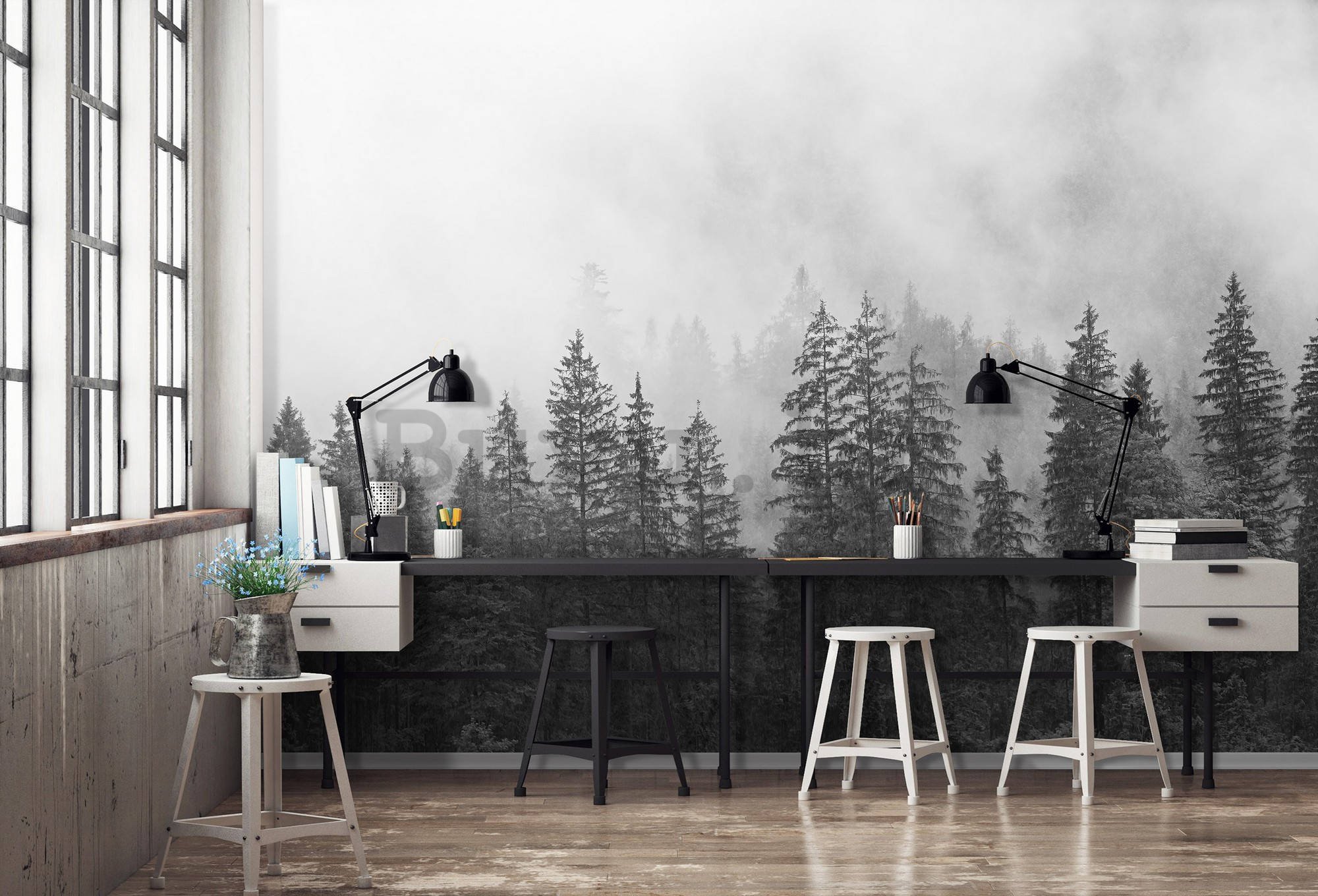 Vlies foto tapeta: Magla nad crno-bijelom šumom  - 368x254 cm