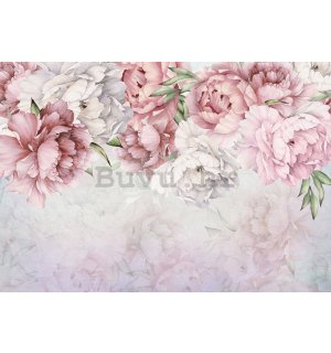 Vlies foto tapeta: Bijele i ružičaste ruže - 368x254 cm