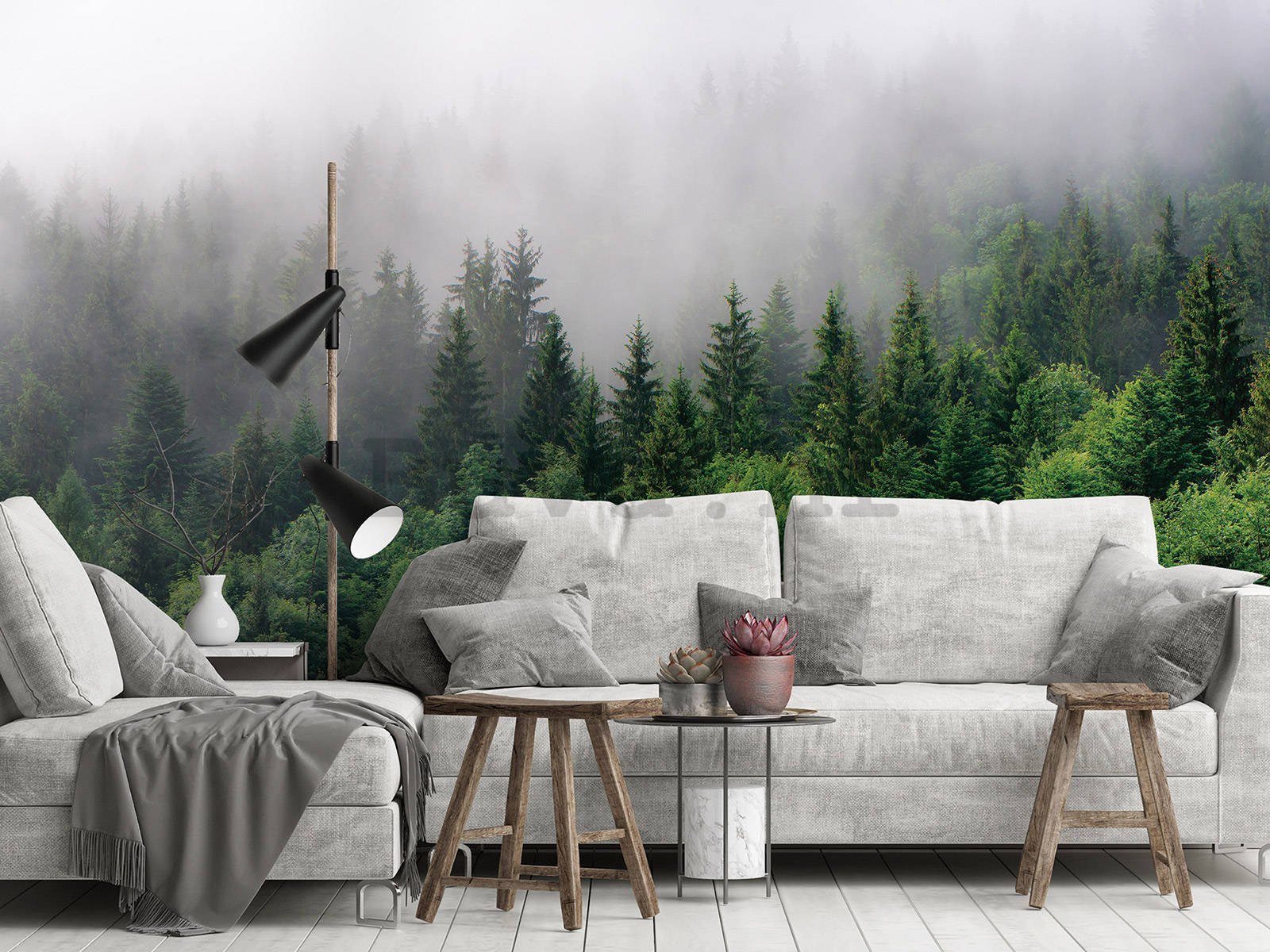 Vlies foto tapeta: Magla nad šumom (2) - 152,5x104 cm