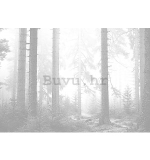 Vlies foto tapeta: Crna i bijela šuma (3) - 152,5x104 cm