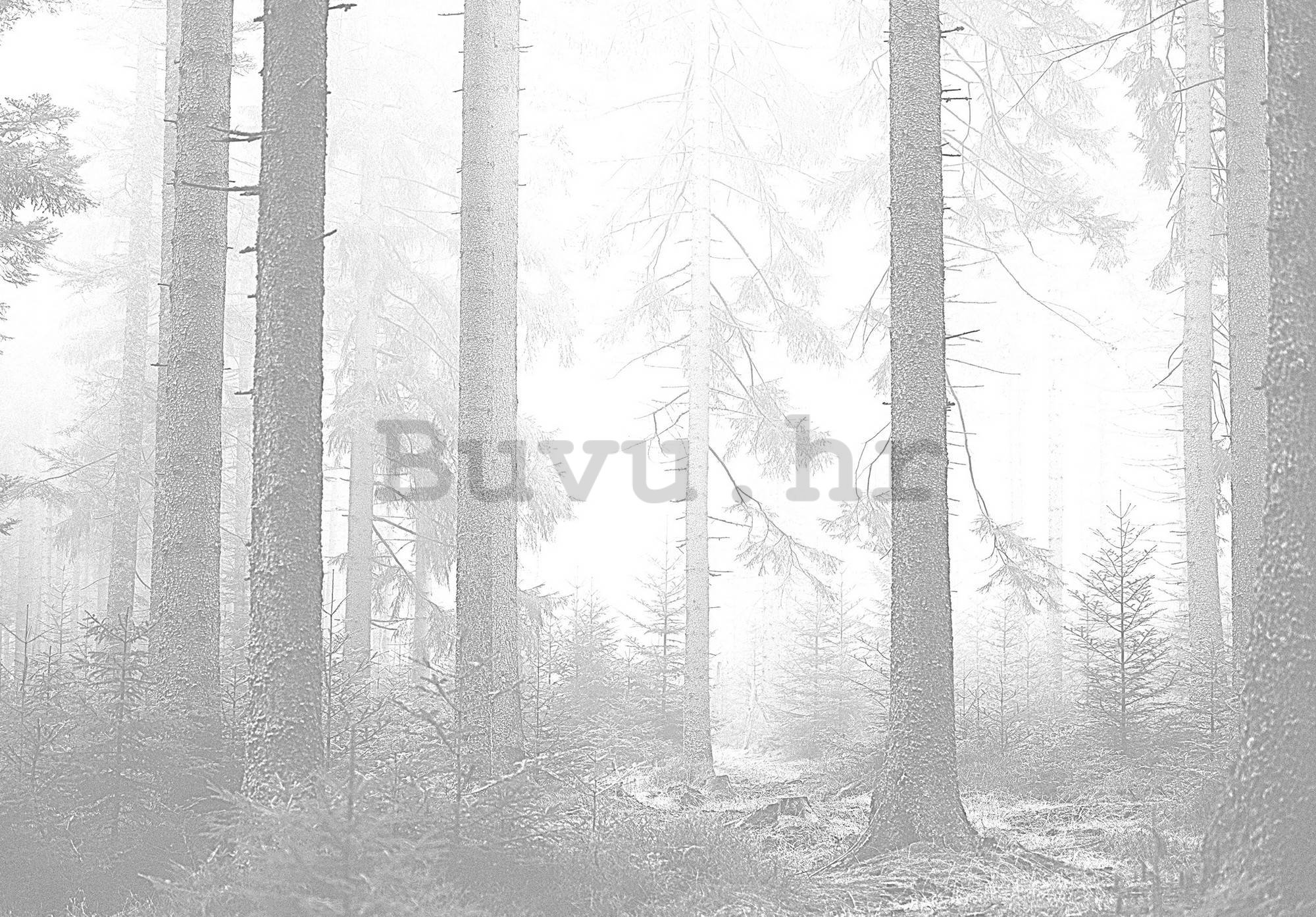 Vlies foto tapeta: Crna i bijela šuma (3) - 104x70,5 cm