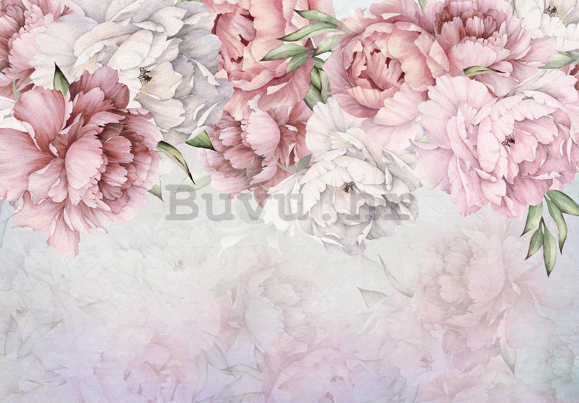 Vlies foto tapeta: Bijele i ružičaste ruže - 416x254 cm