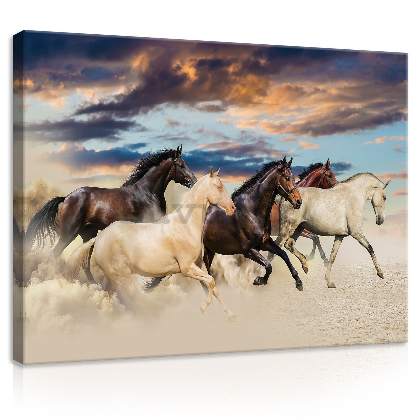 Slika na platnu: Konji (2) - 100x75 cm
