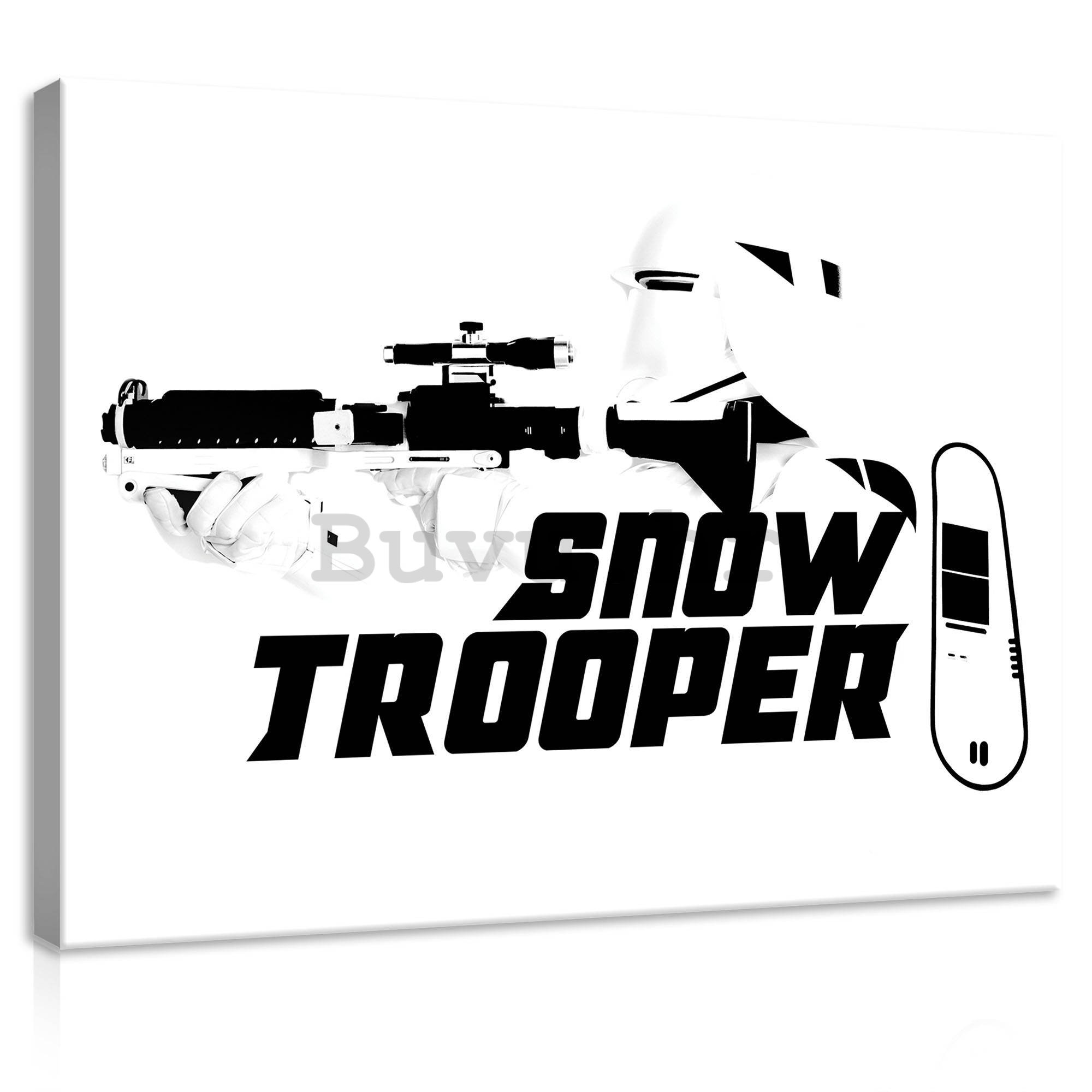 Slika na platnu: Star Wars Snow Trooper - 100x75 cm