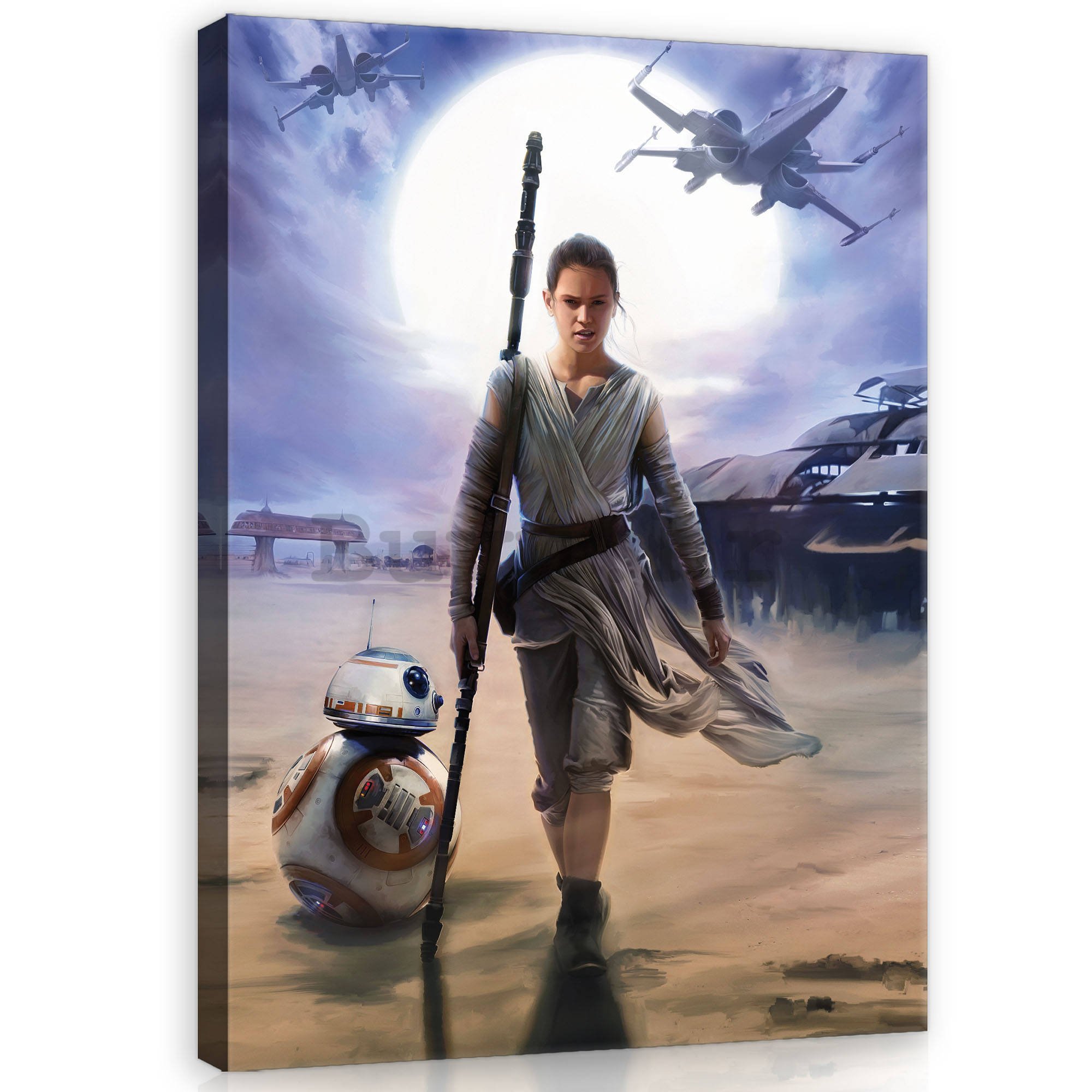 Slika na platnu: Star Wars Rey - 100x75 cm