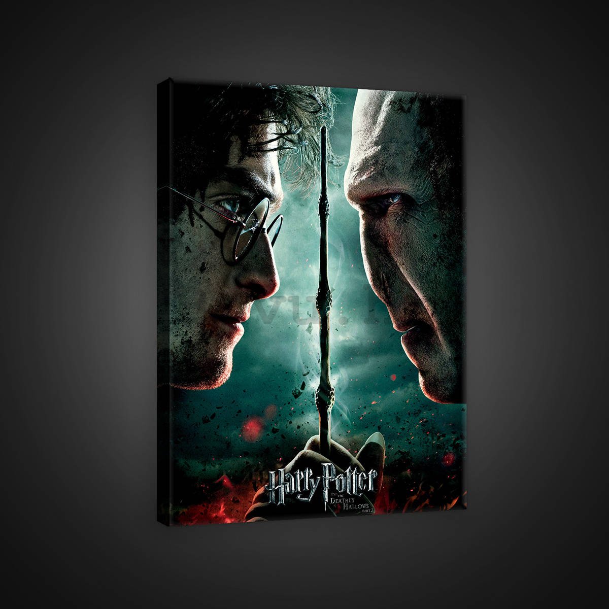 Slika na platnu: Harry Potter and Deathly Hallows Part 8 - 75x100 cm