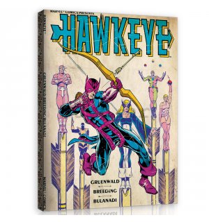 Slika na platnu: Hawkeye - 60x80 cm