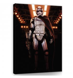 Slika na platnu: Star Wars Captain Phasma (1) - 60x80 cm