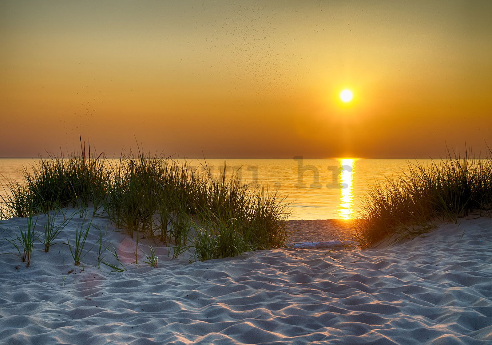 Vlies foto tapeta: Zalazak sunca na plaži (5) - 368x254 cm
